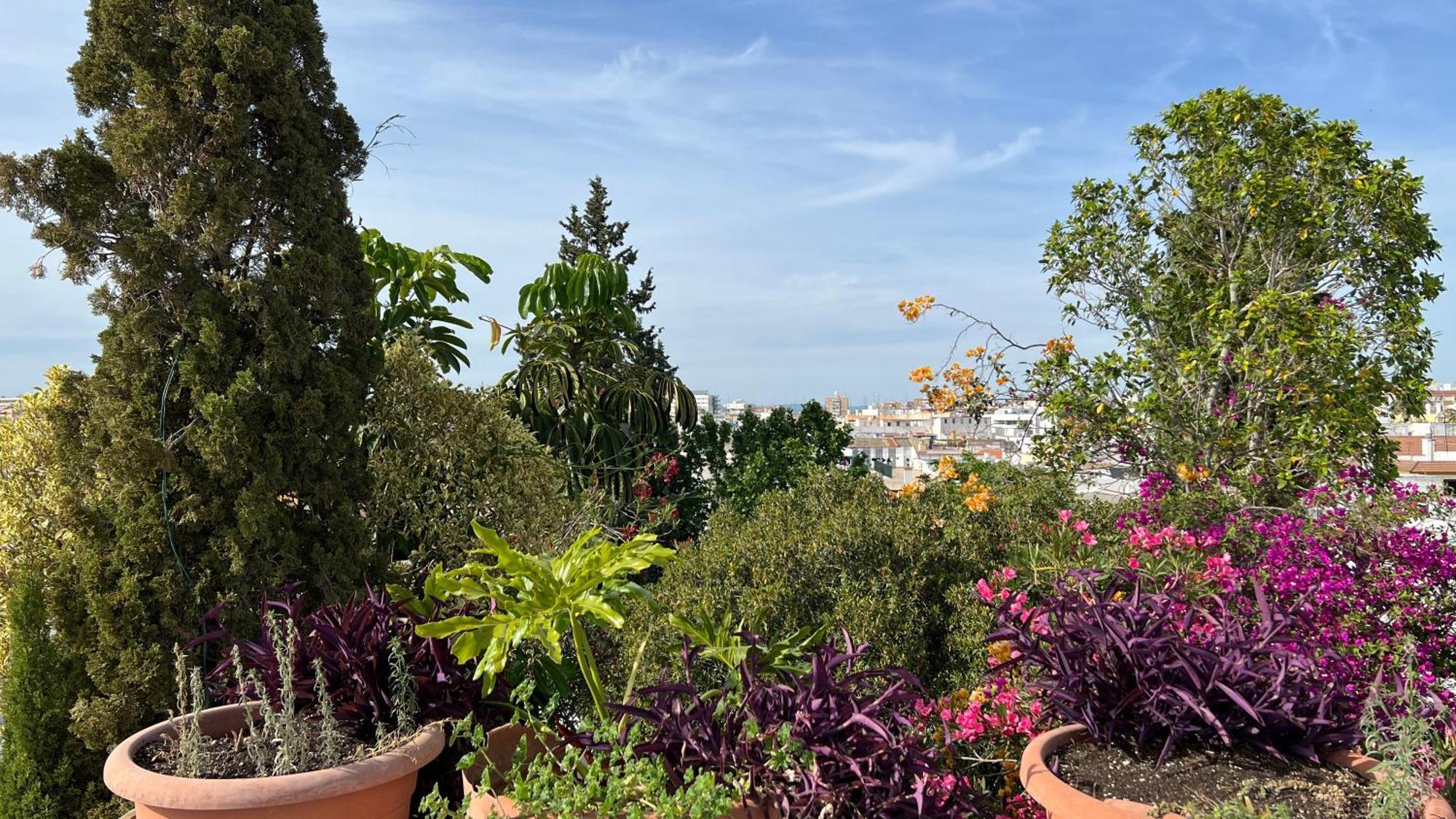 Calm & Design Suite Siviglia Esterno foto